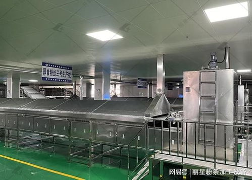 麗星桶裝粉絲粉餅生產設備 核心優勢解析與規模化生產落地實踐